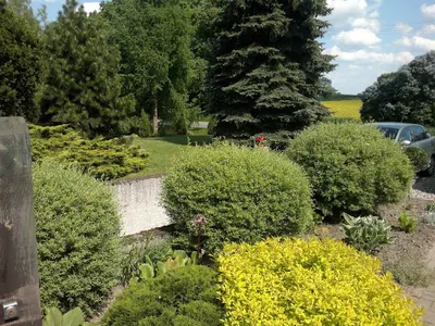 Wiśniowa Alejka. Zakładanie ogrodów Bydgoszcz, projektowanie ogrodów Bydgoszcz